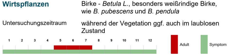 Beispiel für Wirtspflanzenauflistung, Definition des Untersuchungszeitraums und Grafik zum Auftreten von Symptomen und Schädlingsstadien im Verlauf eines Jahres